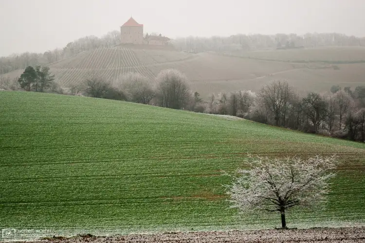 A winter impression from the fields around Wildeck Castle near the southwest-German village of Abstatt.