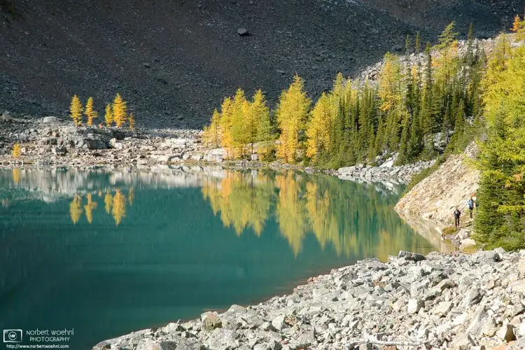 An early touch of autumn colors is being reflected off the surface of Lake Agnes in Banff National Park, Alberta, Canada.