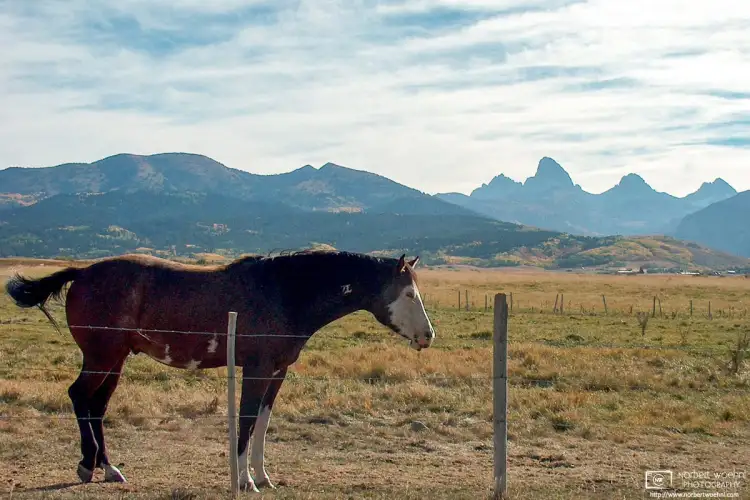 View of the Teton Range from the west, taken from Teton Scenic Byway (State Route 33) in Idaho en route to Idaho Falls.