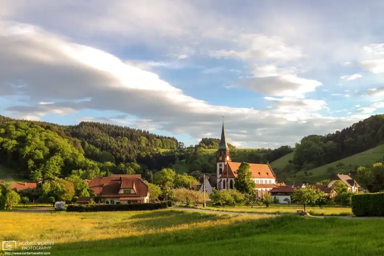 The last light of the day outside the village of Glottertal in the Black Forest region of Southwestern Germany.