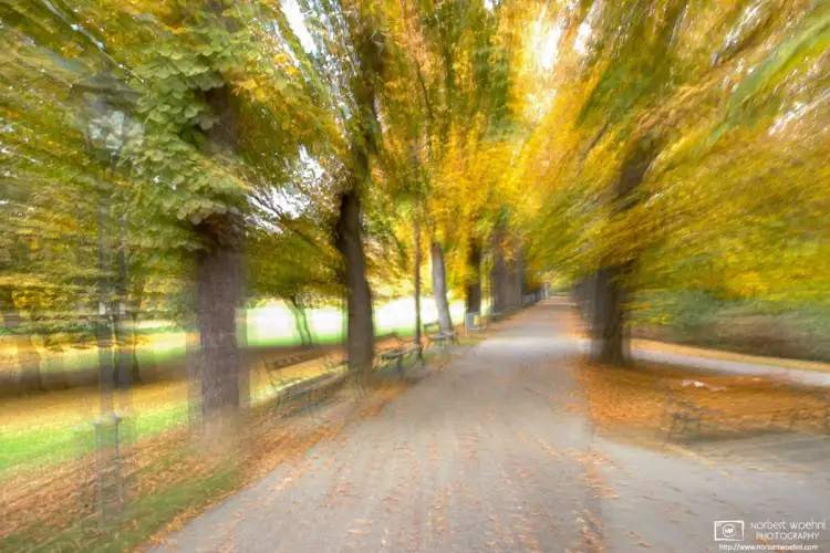 At Stadtpark in Graz, Austria, this is an autumn perspective along Friedrich-von-Gagern-Allee. I created this effect by changing the zoom level during exposure.