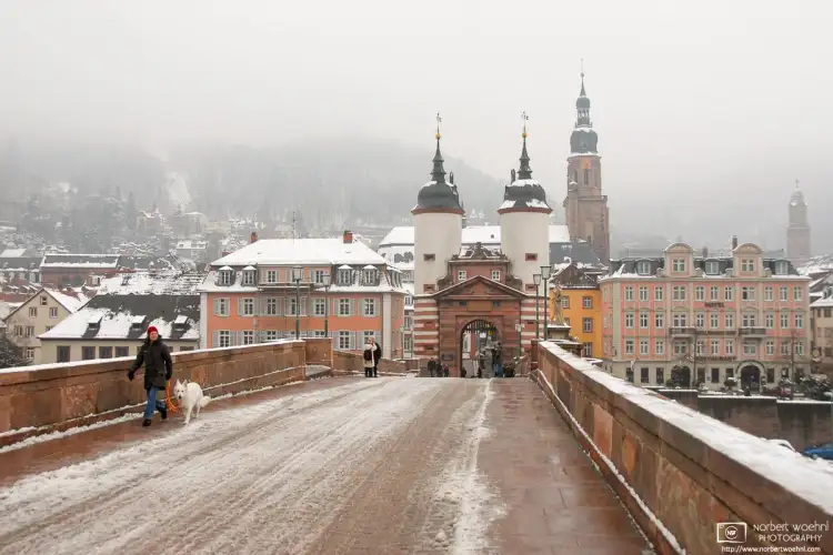 Walking the dog on a cold winter day at Alte Brücke (Old Bridge) in Heidelberg, Germany.
