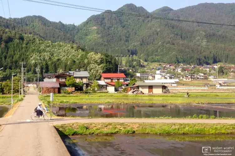 A schoolgirl riding on her bicycle in the countryside of Gifu Prefecture, Japan. I took this photo while I was on the train from Kanazawa to Takayama.