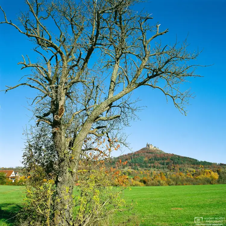 An autumnal scene from the fields and orchards around Hohenzollern Castle in Southwestern Germany.