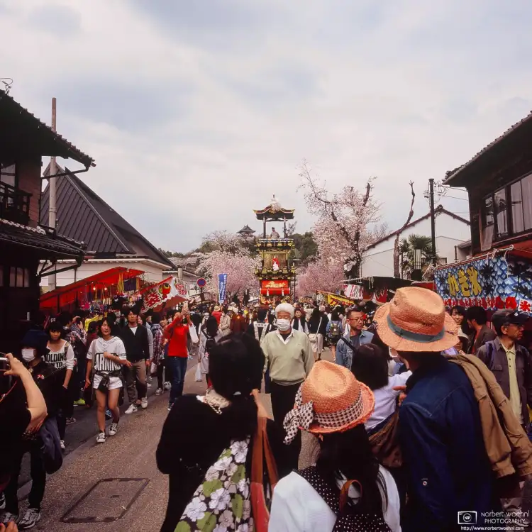 A festival float moving through the crowds during Cherry Blossom Season at Inuyama, Japan.