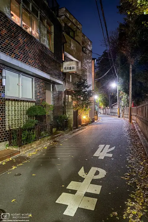 Coming home from work on a late-November evening, I captured this scene on a backstreet in the Miyamotocho area of Itabashi Ward in Tokyo, Japan.
