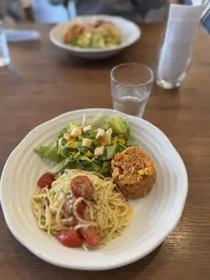 One-plate lunch at Little Bean Works, a cafe in the Itabashi Ward of Tokyo, Japan. Tomato pepperoncino pasta, chicken rice and side salad.