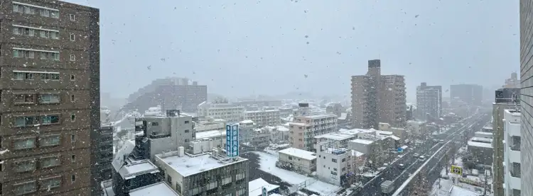 During the morning hours of today, we got 5-6 cm of snow, which is a pretty rare event in the Itabashi Ward of Tokyo, Japan.