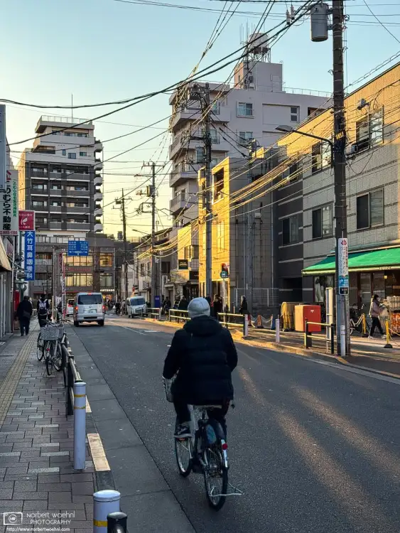 On a winter afternoon, the sun is casting long shadows and a warming glow on Hasunuma Athlete Road in the Itabashi Ward of Tokyo, Japan.