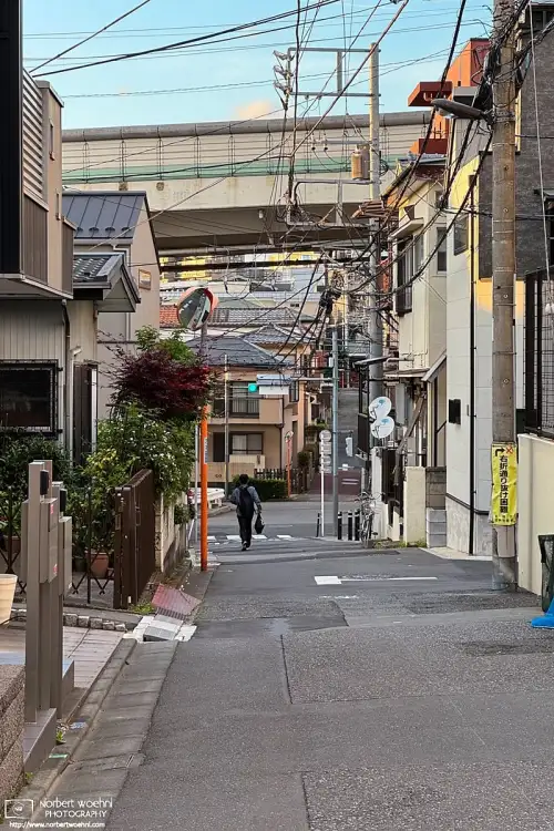 Enjoying a longer walk home this evening through the quiet streets of Izumicho in Itabashi, Tokyo, it appears I wasn't the only one going home at that time.