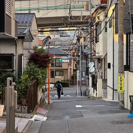Enjoying a longer walk home this evening through the quiet streets of Izumicho in Itabashi, Tokyo, it appears I wasn't the only one going home at that time.