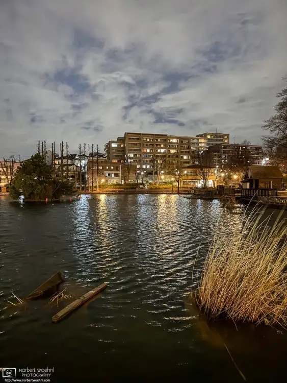 On the way back from work, a chilly winter breeze was agitating the usually quiet surface of the pond at Mitsugi Park in the Itabashi Ward of Tokyo, Japan.
