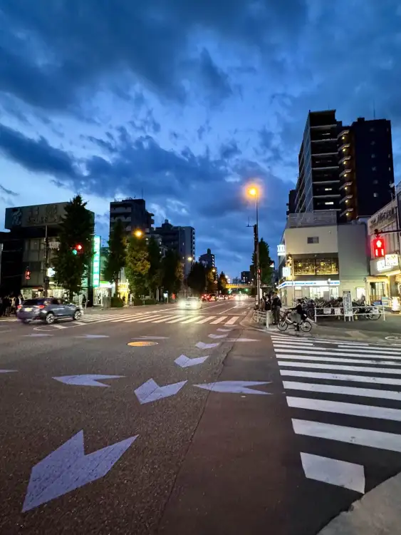 As I stepped out of the kickboxing gym last night, this was the scene along the Nakasendo, a major road traversing the Itabashi ward of Tokyo, Japan.