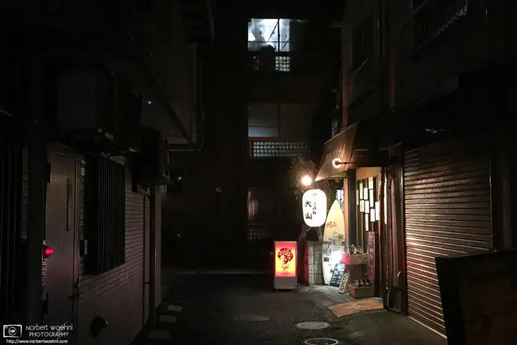 On an evening walk though the Oyama area of Itabashi ward in Tokyo, Japan, I came across this movie-like scene in a backyard.