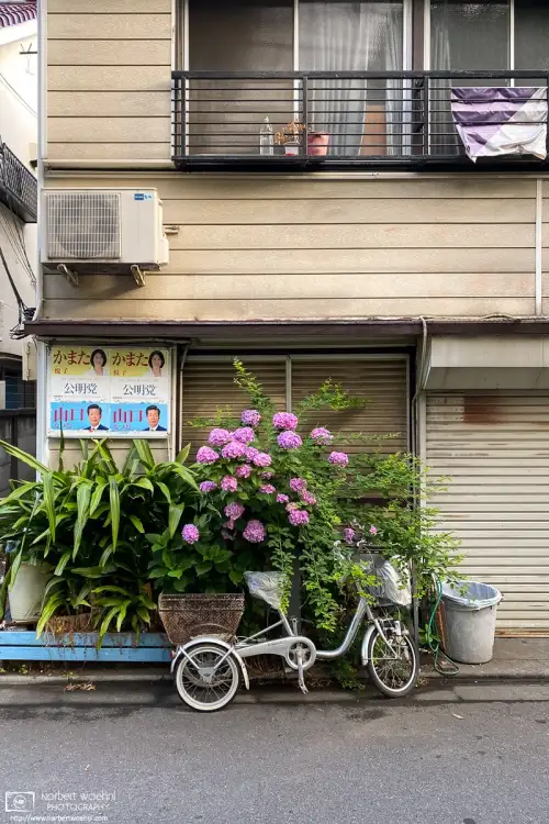 A still life from an early-morning walk around Ōhara-chō in the Itabashi Ward of Tokyo, Japan.