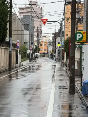 A neighborhood side street in the Itabashi Ward of Tokyo, Japan, photographed on a rainy morning.