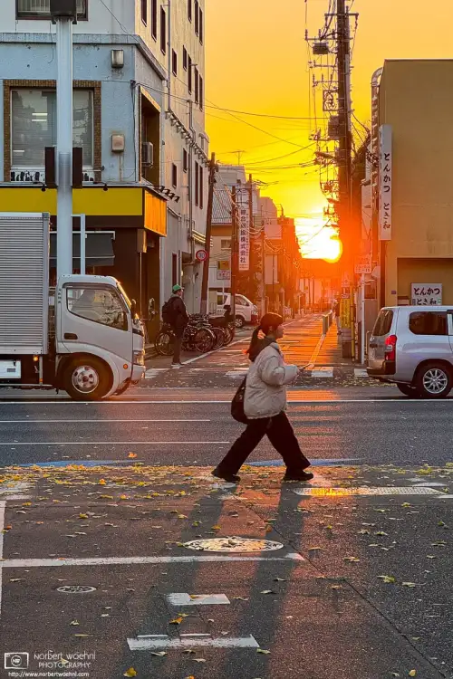 The setting sun illuminates a backstreet on a December afternoon in my neighborhood in the Itabashi Ward of Tokyo, Japan.