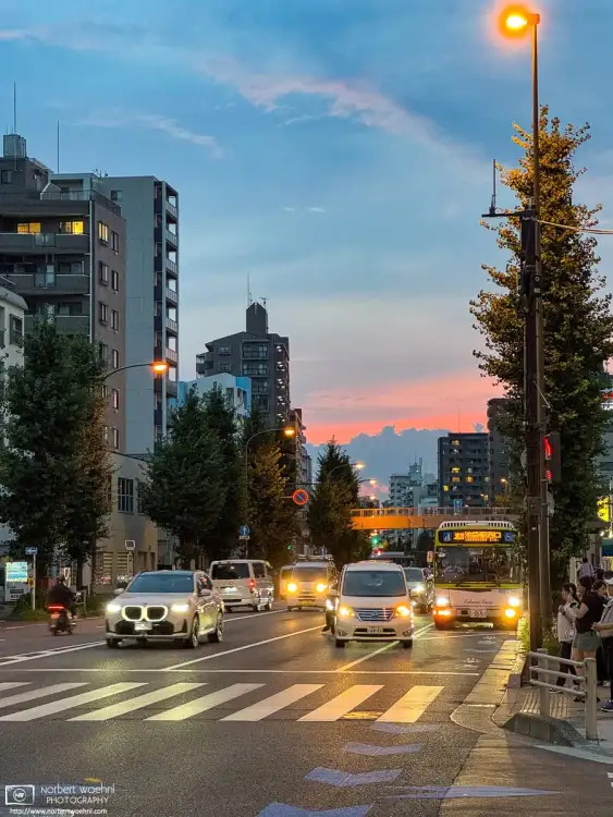 Stepping outside after today's kickboxing training, I saw a red summer evening sky behind the urban scenery outside Motohasunuma Station in Itabashi, Tokyo.