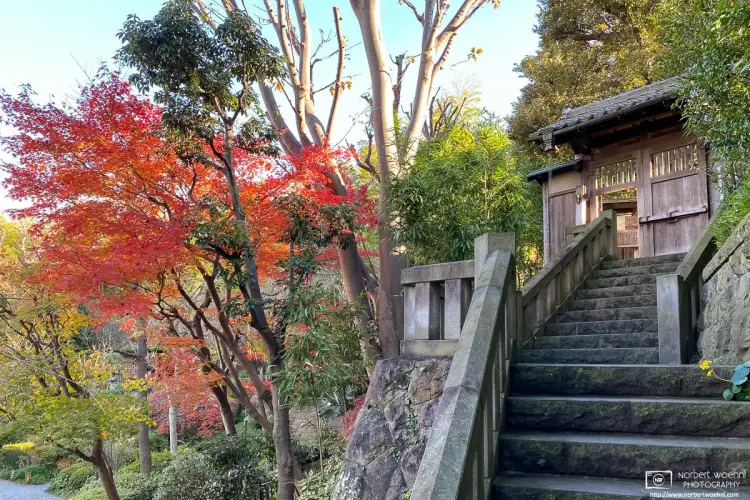 A late-autumn view of Yakushi Fountain Garden in the Itabashi Ward of Tokyo, Japan.