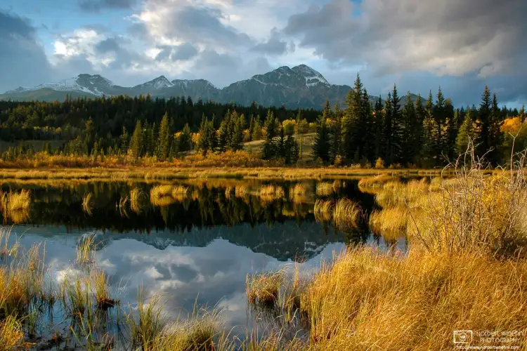 The last sunlight of the day is hitting autumnal vegetation along a lake outside Jasper Townsite in Alberta, Canada.