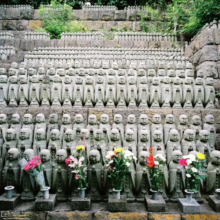 Jizō Statues at Hase-dera Temple in Kamakura, Japan. Jizō is seen as the guardian of children – in particular, children who died before their parents – and is believed to help their souls reach paradise.