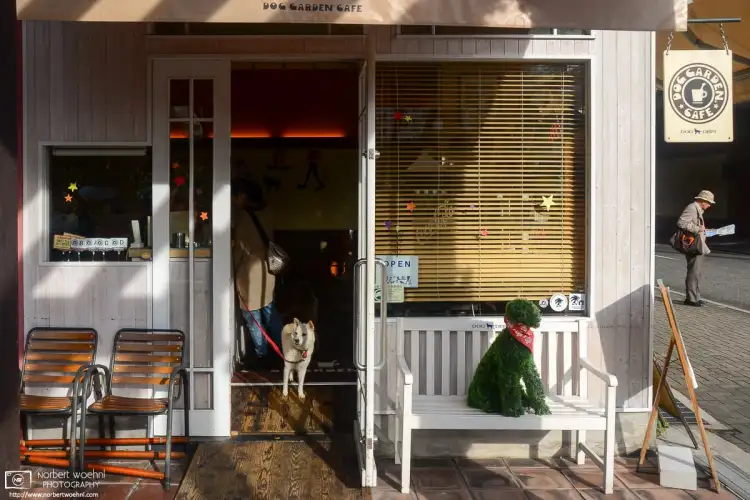 A nice moment from the Dog Garden Cafe at Harborland, a shopping complex in the port area of Kobe, Japan.