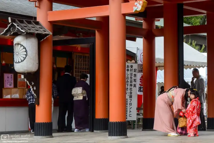 A scene from Shichi-Go-San at Ikuta Jinja, a beautiful Shintō shrine in the center of Kobe, Japan.