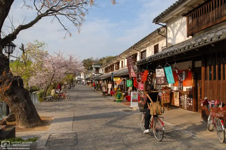 Kurashiki is a historic town located west of Okayama, Japan. Its main attraction is the Bikan District, an old Edo-period merchant quarter.