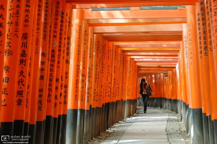 Fushimi Inari Taisha, an important Shinto Shrine in southern Kyoto, Japan, is famous for its thousands of vermilion torii gates.
