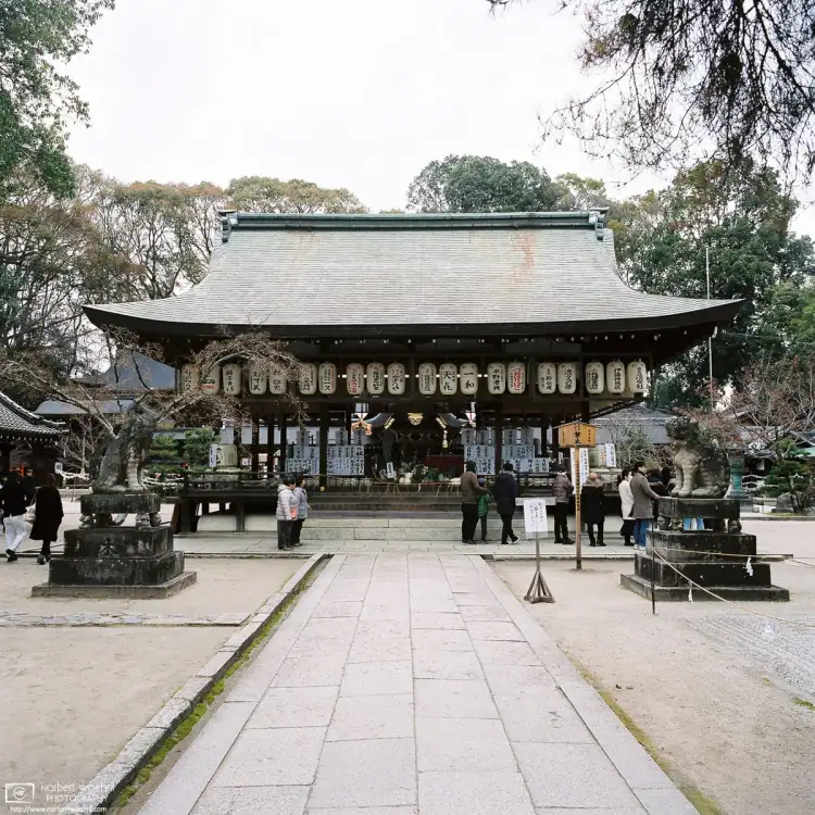 Imamiya Jinja in Kyoto, Japan, is dedicated to good health and longevity.