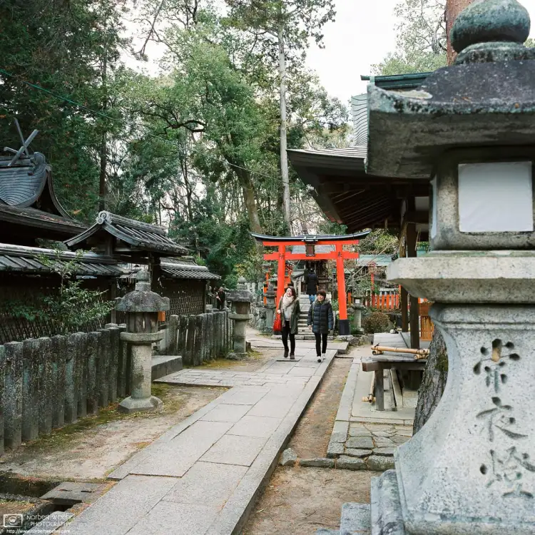 Hatsumode (first shrine visit of the New Year) at Imamiya Shrine in Kyoto, Japan.
