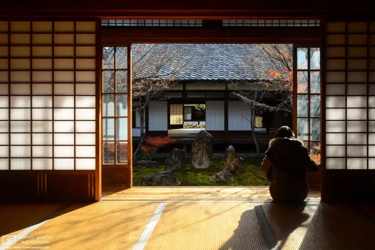At Kenninji Temple in Kyoto, Japan, a woman is seated on a tatami floor, viewing a Japanese garden through opened sliding doors. The autumn sun enters the room, casting some shadows.