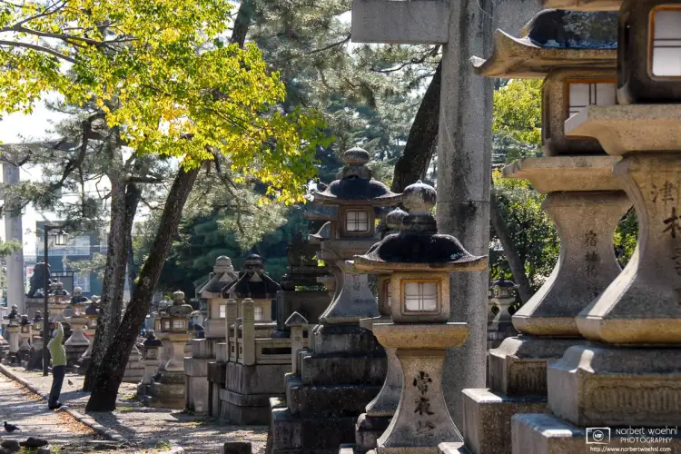 At the southern entrance of Kitano Tenmangū Shrine in Kyoto, Japan, a man is seen exercising beside a lineup of tōrō (Japanese stone lanterns).