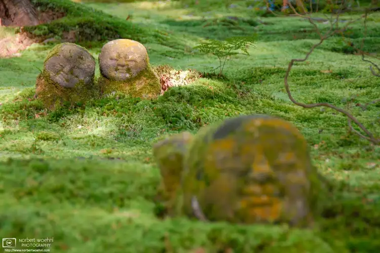 Stone Buddhas at the Moss Garden of Sanzen-in Temple in Ohara, north of Kyoto, Japan.