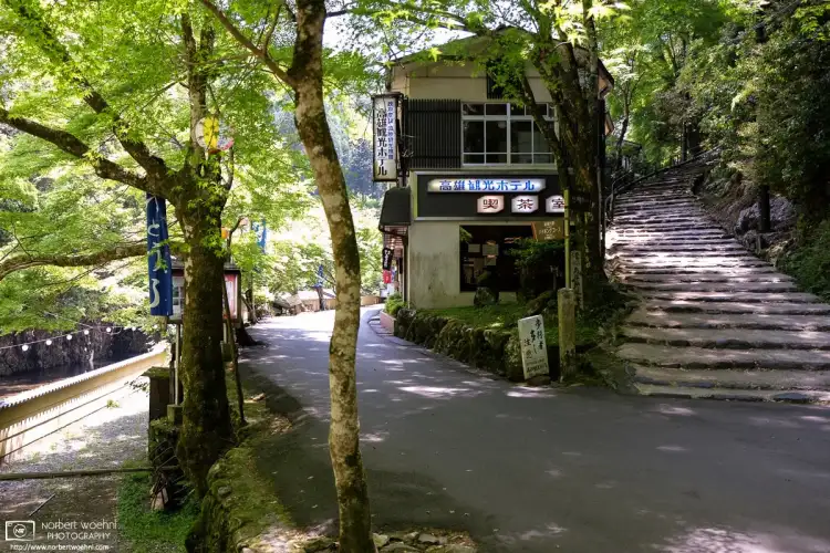 The Takao area north of central Kyoto is home to the Takao Kanko Hotel, which boasts a scenic and quiet location in the forest along the Kiyotaki River.