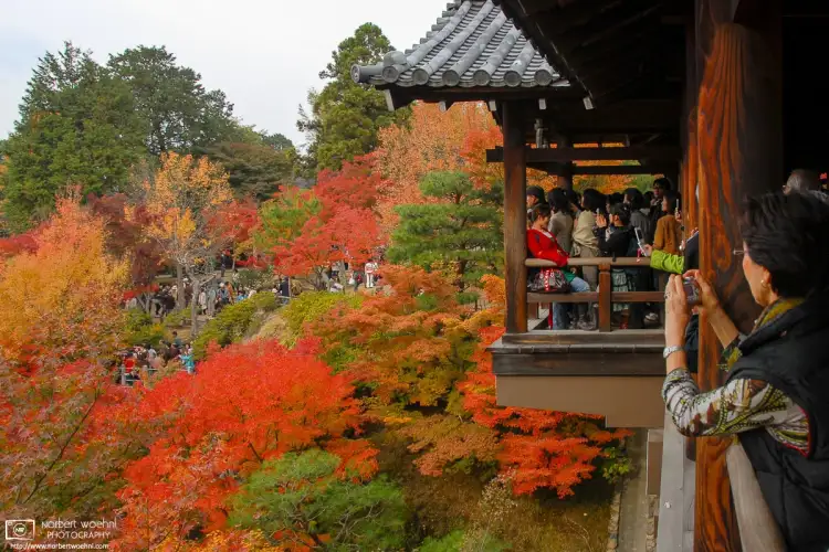 Tsutenkyo Bridge at Tōfukuji Temple in Kyoto, Japan, becomes one of the city’s most busy spots in autumn, as visitors come to enjoy the seasonal colors.