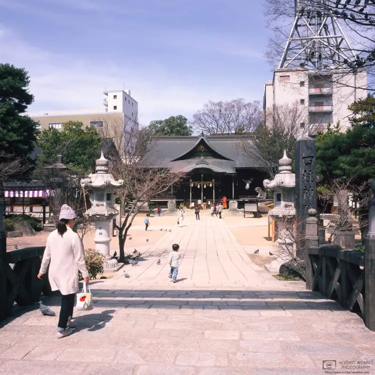 A boy chasing pigeons at the entrance to Yohashira Jinja in Matsumoto, Japan.