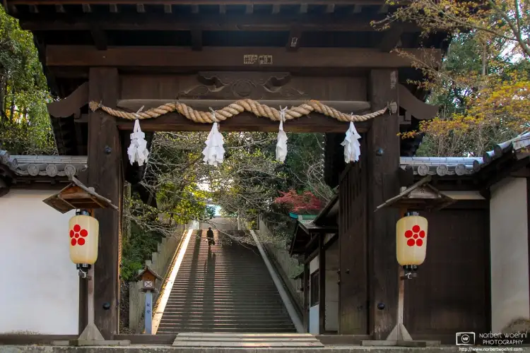 In the late afternoon, a woman climbs the stairs to Shinonome Jinja in the city of Matsuyama on Shikoku, the smallest of Japan’s four main islands.