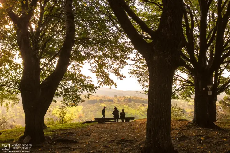A perfectly placed bench to enjoy the scenic autumn view from Olgahöhe in Mössingen in southwestern Germany.