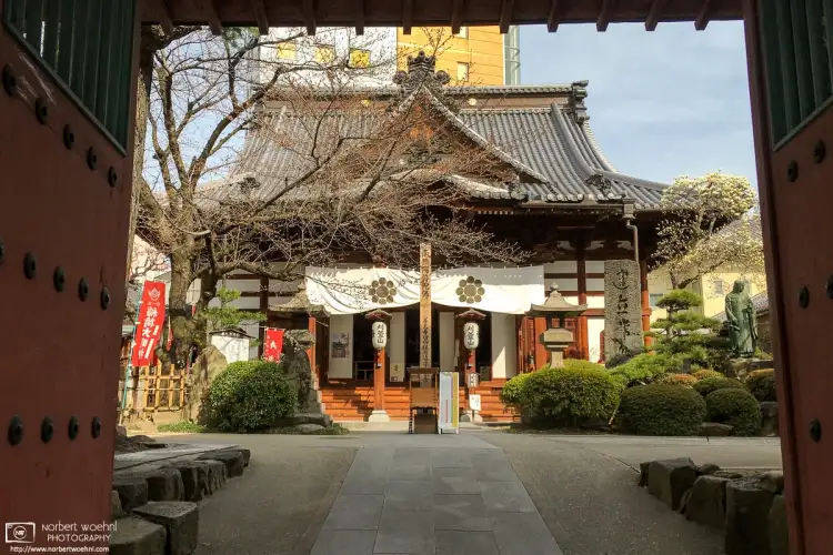 Entering Karukayasan Saikōji Temple in downtown Nagano, Japan – an oasis of calm in an urban setting.