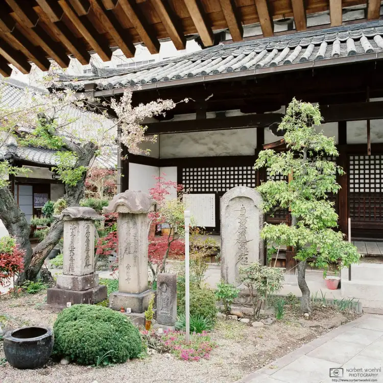 On a stroll through the backstreets of Nara, Japan, I came across a small temple called Jōtokuji.