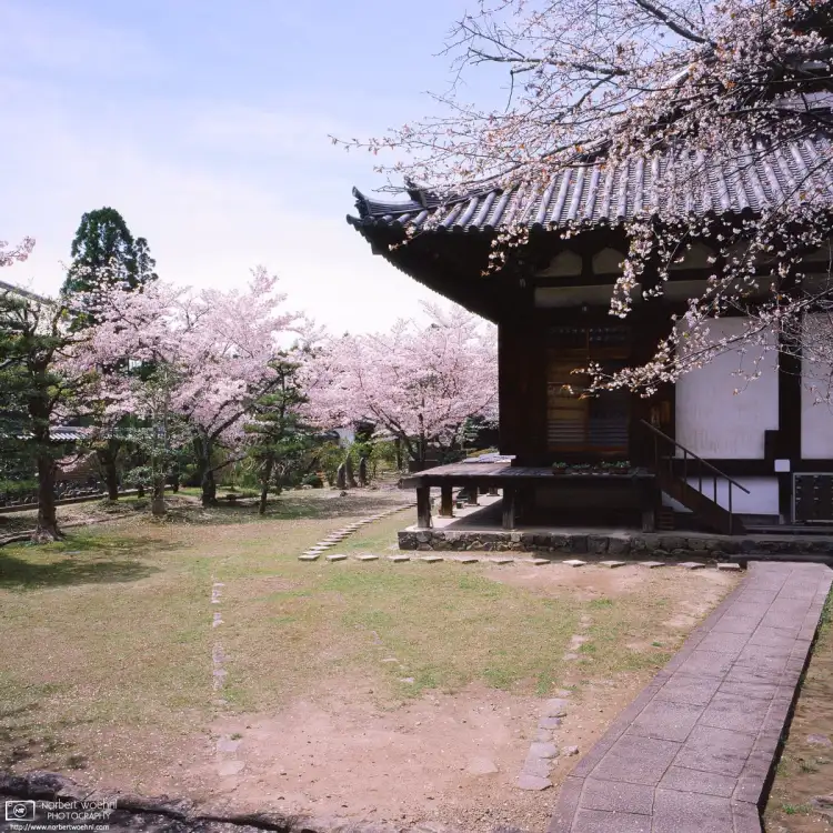 Approaching the iconic Todaiji in Nara, Japan, one passes a lot of smaller temples and old buildings. This is a view through the gate into the garden of Shingon-in Temple.