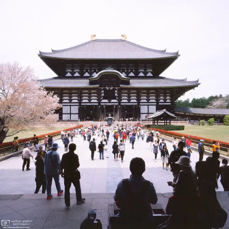 The Great Buddha Hall at Todai-ji Temple in Nara, Japan, houses the world’s largest bronze statue of the Buddha Vairocana.