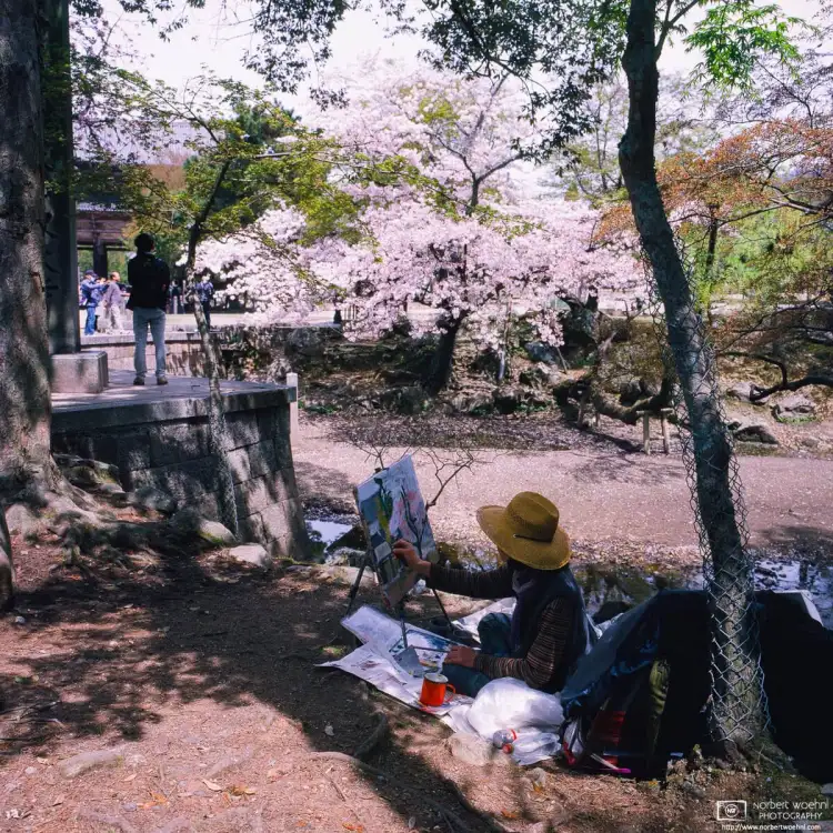 Walking through Nara Park towards Tōdaiji Temple in Nara, Japan, I came across this painter who was in the midst of crafting a seasonal peace of art.