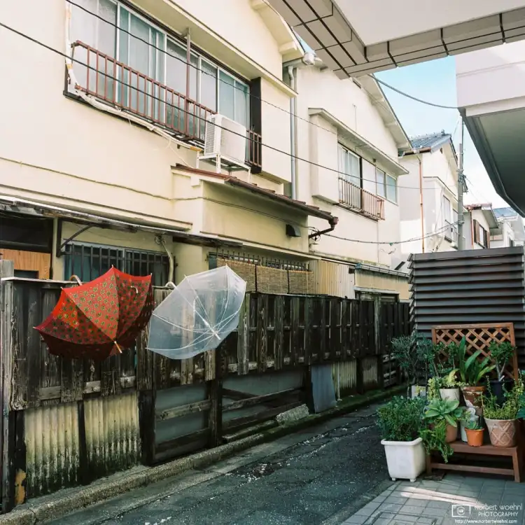 Umbrellas have been left outside to dry in a residential area of Nishi-Ogikubo in Tokyo, Japan.