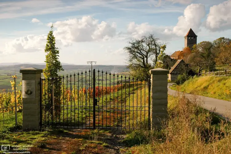 An autumn impression taken in the vineyards around Lichtenberg Castle in southwestern Germany.