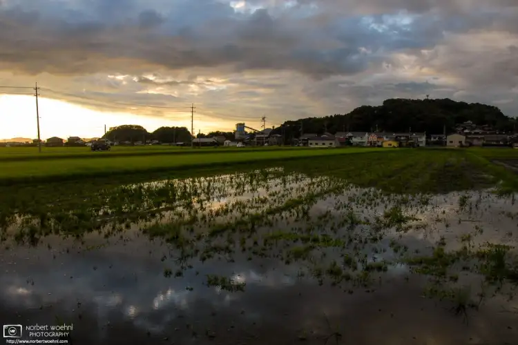 A capture of the late-afternoon mood around the rice fields east of downtown Okayama, Japan.