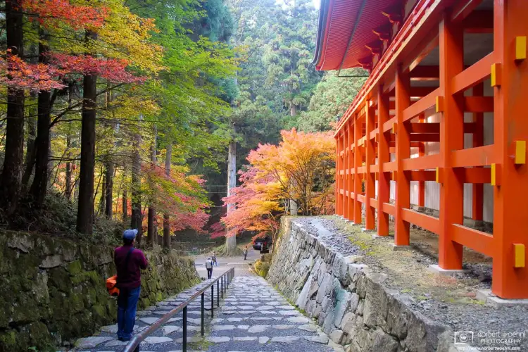 An autumn impression from Enryakuji Temple, located to the northeast of Kyoto on Mount Hiei in Ōtsu, Japan. The structure on the right is Yokokawa Main Hall.
