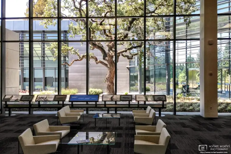 This photo was taken in the lobby of the former Executive Briefing Center at Hewlett-Packard in Palo Alto, CA.