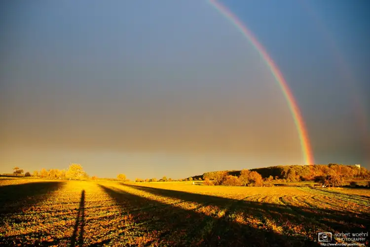 On a late autumn afternoon, a rainbow rises over the fields outside Pliezhausen in southwestern Germany.